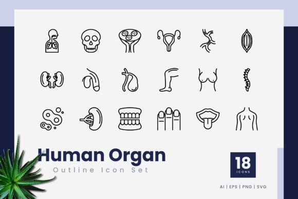 Getting the Most from Human Organ Outline Icons in Your Projects